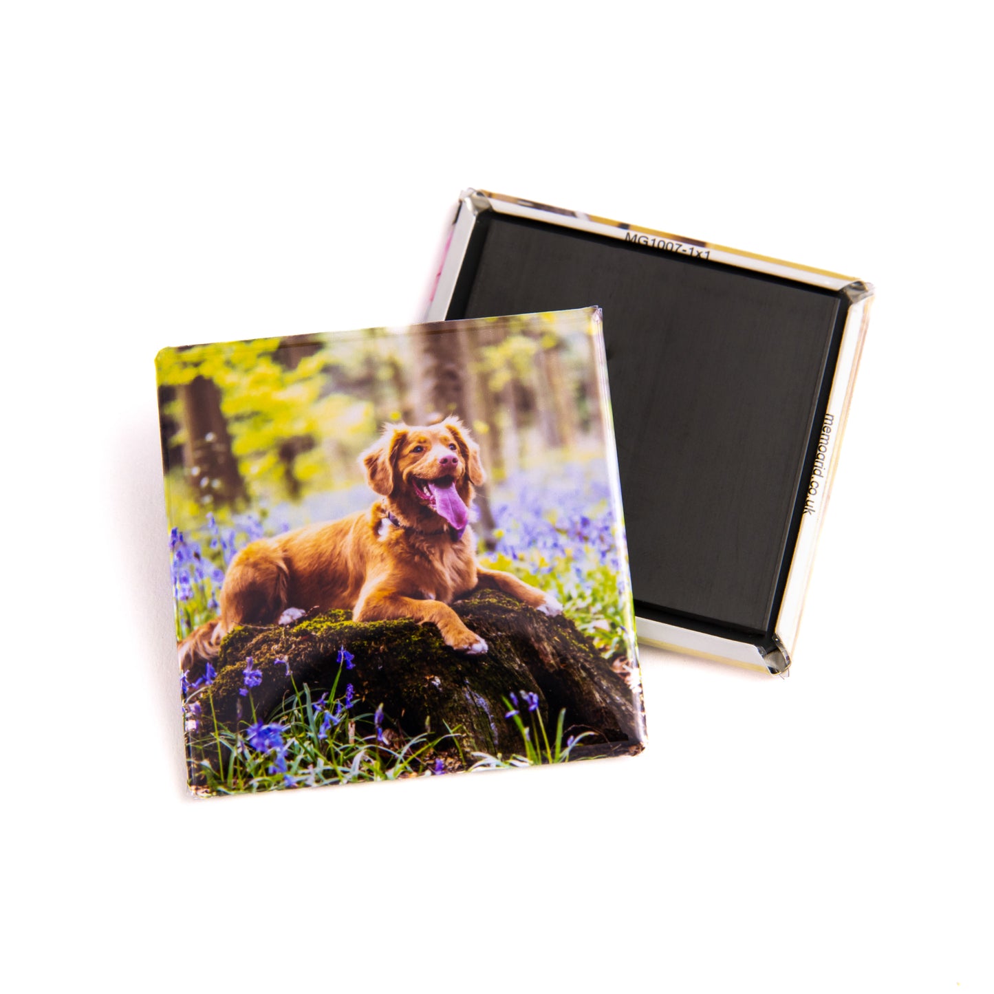 Custom Photo Magnets